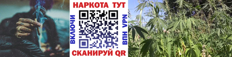 Наркошоп купить ГАШ Альфа ПВП Мефедрон АМФЕТАМИН Канабис Киселёвск