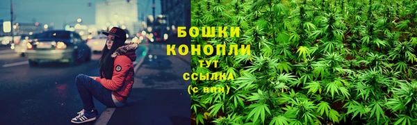 СК Володарск