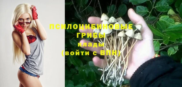 СК Володарск
