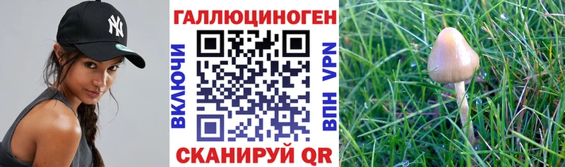 Псилоцибиновые грибы мухоморы  Купить  Киселёвск 